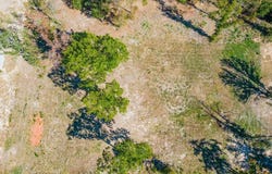 208 Angus RD, Big Sandy, TX 75755