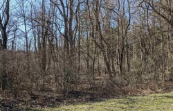 TBD W 550 South, Portland, IN 47371
