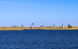 TBD Greg S Drive, Lake Preston, SD 57249