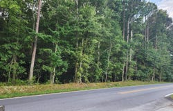 2.68 Railroad Avenue, Clarkesville, GA 30523