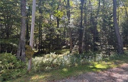 Moehs Road, Old Forge, NY 13420