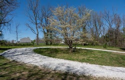 7611 N State Highway 125, Rogersville, MO 65742