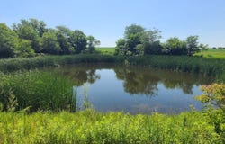 3284 280th, Fremont, IA 52561