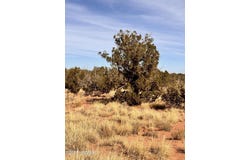 Tbd 207-69-014E, Chambers, AZ 86502