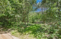 10.02 W Scout Road, Mears, MI 49436