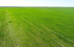County Rd 81 S, Vernon, TX 76384