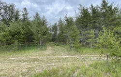 00 E 10 Mile Road, Irons, MI 49644