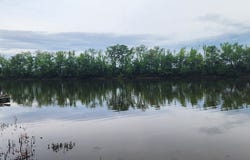 163 Davis N Lake Rd, CAMDEN, TN 38320