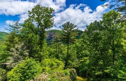 75 Holly Ridge, Sapphire, NC 28774