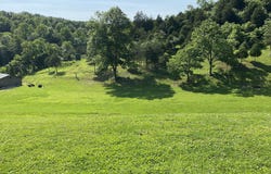 8245 Whites Creek Road, Wayne, WV 25570