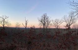13523 Hwy 62 East, Henderson, AR 72544