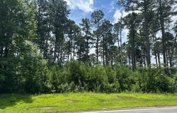 000 Hwy 222, Leola, AR 72084