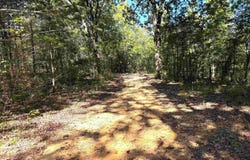 58 Gorby Road, Calico Rock, AR 72519
