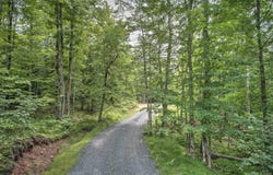 16386 Indian Cemetery, L'Anse, MI 49946