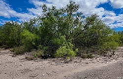 16 Borjon Dr, Eagle Pass, TX 78852