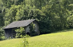 000 Long Hollow Road, Nickelsville, VA 24271
