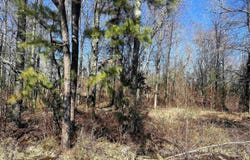 W 13th, Pine Bluff, AR 71603