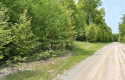 00 Honeybee Road, Empire, MI 49621