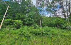 738 Four Mile Road, Allegany, NY 14706