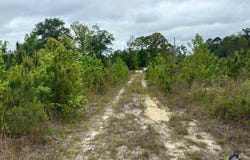 Cactus Hill Road, Roberta, GA 31078