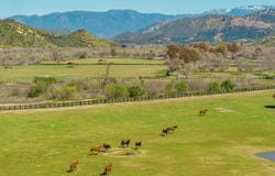 5820 W Lilac Road, Bonsall, CA 92003