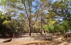 450 FIR DR, Harleton, TX 75651