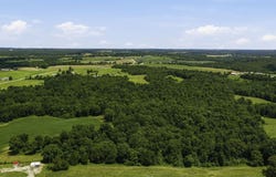Sadler Road, Leitchfield, KY 42754