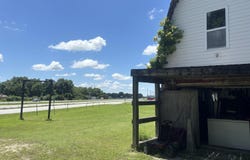 703 W Evergreen Street, Strafford, MO 65757