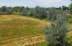 1637 I Road, Delta, CO 81416