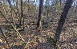 Tract 1 HWY 14 E, Mountain View, AR 72560
