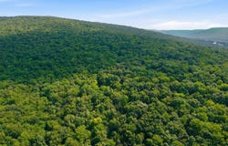 296 Acres County Road 106, Paint Rock, AL 35764