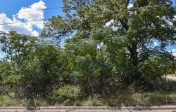 904 E 6th, Brady, TX 76825