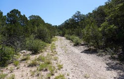 263 FIVE HILLS Drive, Tijeras, NM 87059
