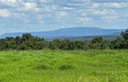 TBD River Road, Coal Hill, AR 72832