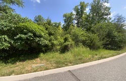 Eagles Ridge, New Tazewell, TN 37825