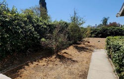 4429 Howard Street, Montclair, CA 91763