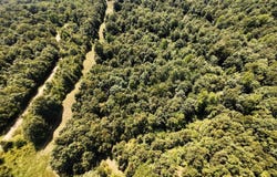 2 CR 449, Pollard, AR 72456
