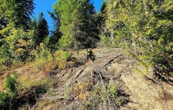 1530 Dusty Ln, St. Maries, ID 83861