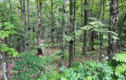 137 Sherwood Dr, Becket, MA 01223