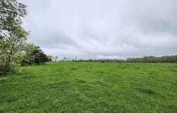 000 Wolfe Drive, Mountain Grove, MO 65711