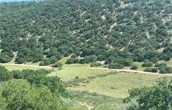 105 Paulsen Road, Lockwood, CA 94326