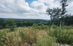 Ridge Top rd, Melbourne, AR 72556