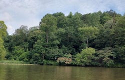 289 CAMP NOD ROAD lot: 0, QUINTON, AL 35023