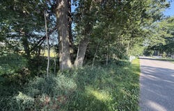 Tbd W Royal Road, Stanwood, MI 49346