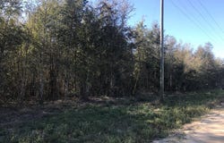Lois Road, Pitts, GA 31072