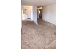 559 S Park Circle, Clifton, CO 81520