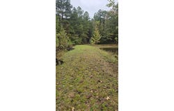 CR 100, Walnut, MS 38683