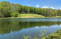 734 Post Road, Franklin, NY 13775