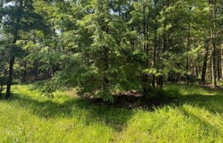 00 Collingwood Rd, Kennerdell, PA 16374
