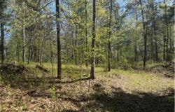 8293 Interlachen Road, Lake Shore, MN 56468